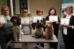 Zahnreinigungskurse am Hund mit Emmi-Pet im Hundesalon Anke Schäfer in Stadtroda/Thüringen