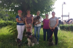 Zahnreinigungskurse am Hund mit Emmi-Pet im Hundesalon Anke Schäfer in Stadtroda/Thüringen